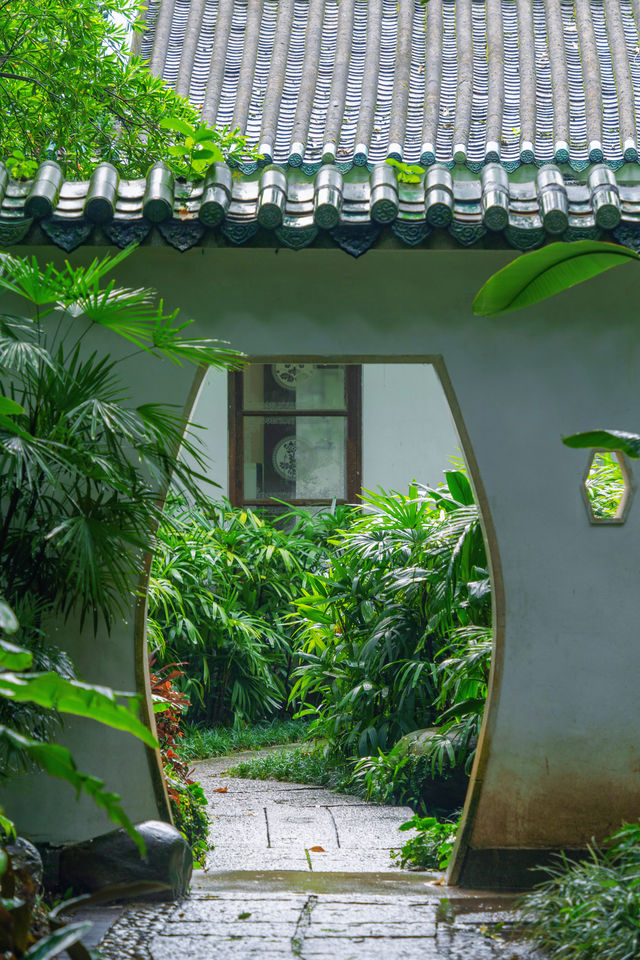 不輸蘇杭，陰雨天的廣州蘭圃美如畫～