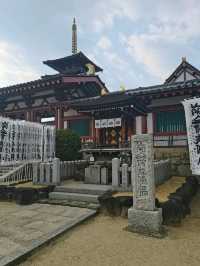 四天王寺深度遊覽攻略：游客親身體驗