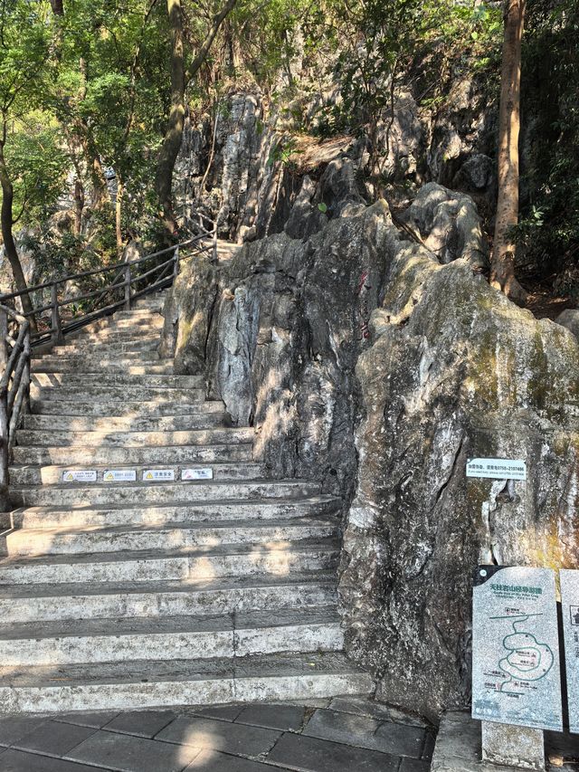 暢遊星湖七星岩,感受冬日裡的肇慶 暢遊星湖七星岩,感受冬日裡的肇慶