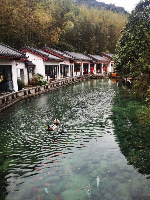 賀州姑婆山一日遊