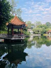 魚峰山公園！（728）