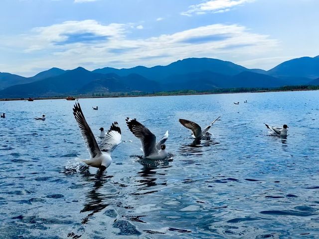 大涼山 瀘沽湖