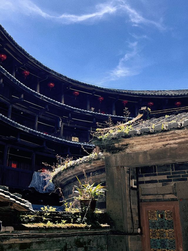 小長假與老友一起探索南靖雲水謠古鎮等地