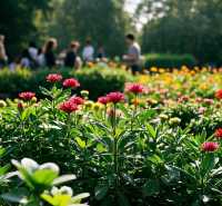 闖入莫奈花園的夏日奇遇｜武漢植物園保姆級避世指南
