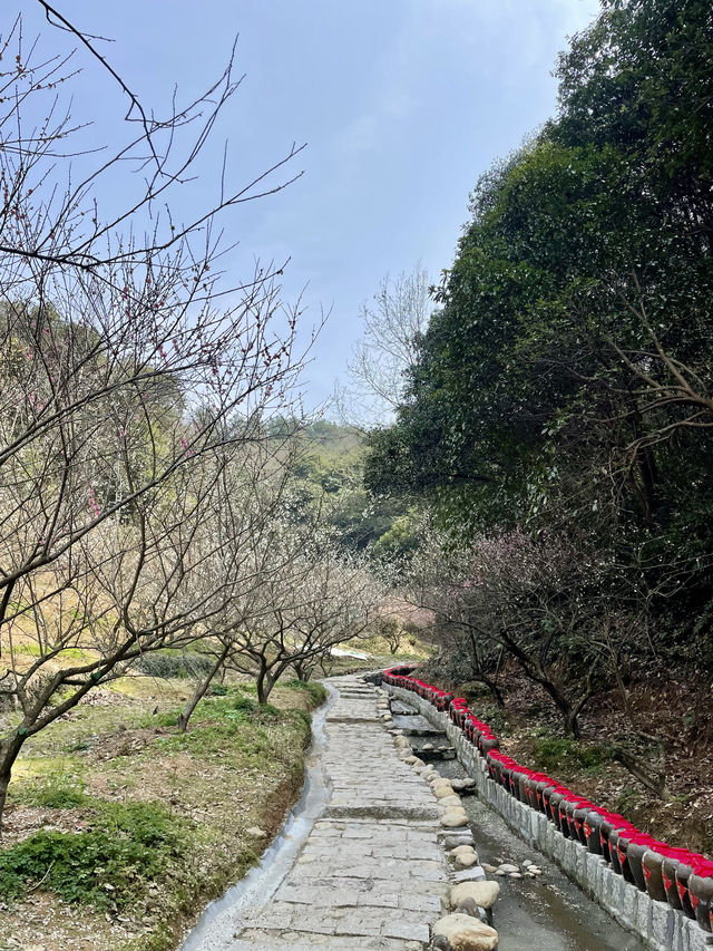 蕭紹古道