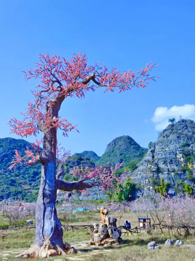 쿤밍-푸셴후-젠수이 6일 여행, 실패 없는 여행 가이드!