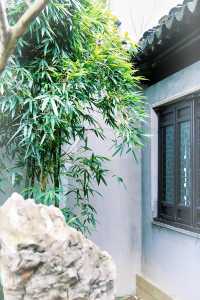 比起拙政園，我更喜歡這個極其小眾的寶藏園林