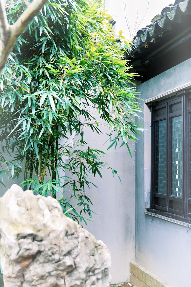 比起拙政園，我更喜歡這個極其小眾的寶藏園林