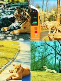 5. 北京野生動物園隱藏玩法，99% 的人都不知道？