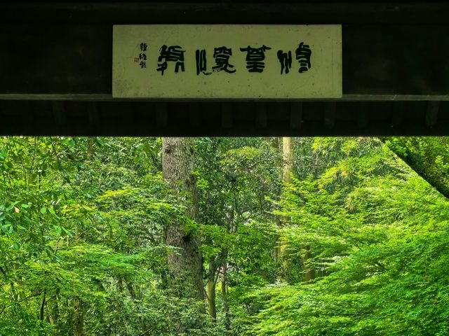 雲棲竹徑｜一場與自然嘅私密對話