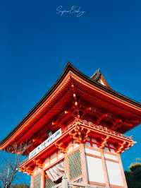 🌸【京都】清水寺櫻花攻略：漫步粉色花海的浪漫之旅