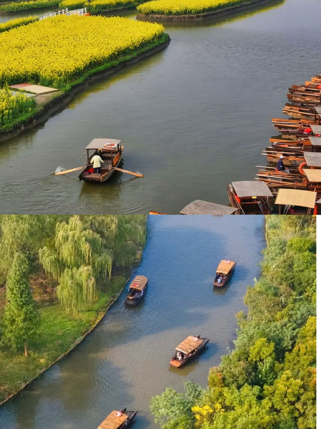 興化果然是油菜花海天花板