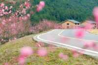 疊石花谷，藏著你不可錯過的春日花事。