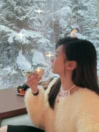 雪鄉！雪景房！為了這扇窗我能來無數次！
