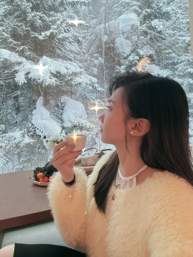 雪鄉！雪景房！為了這扇窗我能來無數次！