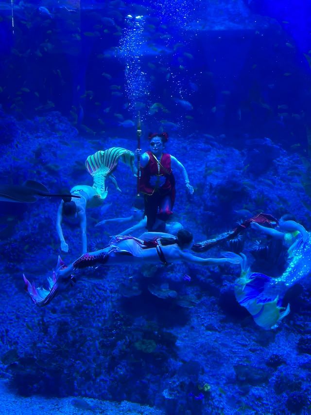 親測廣州海洋館真係好玩又好拍