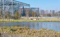 春天是逛公園的好時光～世博文化公園