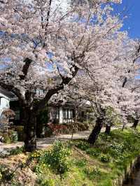 日本3日遊小長假好去處