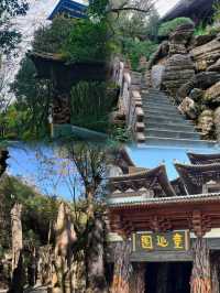發現了寶藏旅行地——根宮佛國🪵