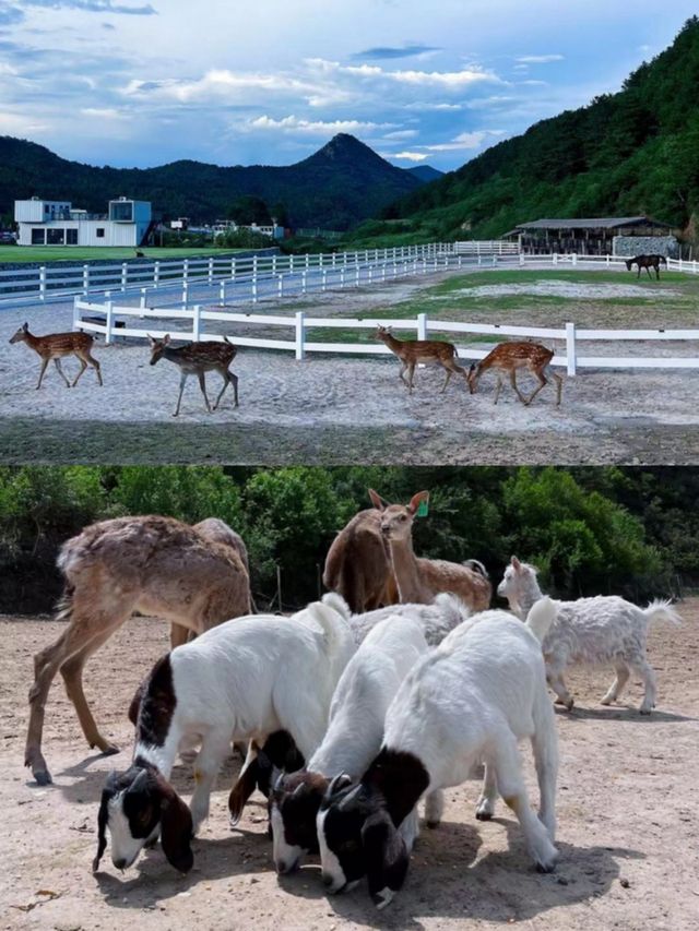 逃離都市煩囂 我在北京周邊發現了寶藏民宿