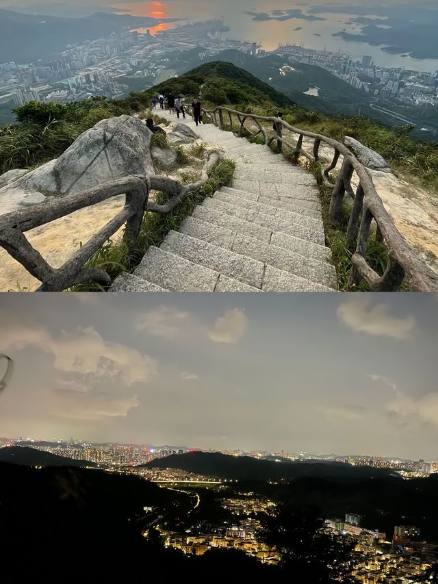 梧桐山花海盛開啦！