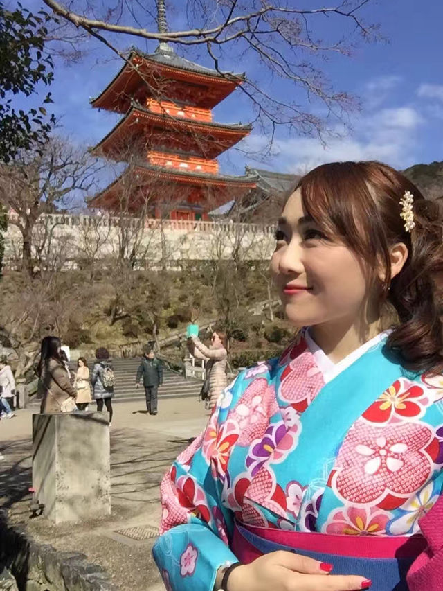 日本賞櫻🌸多條路線攻略請收好