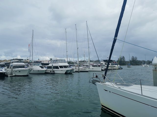快樂行動派丨雨天遊艇出海，意外偶遇海豚