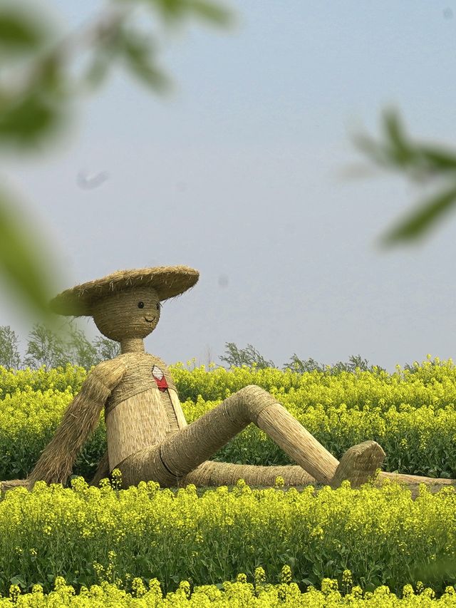 江南田園嘅天花板！等你嚟體驗枕水而居嘅慢生活
