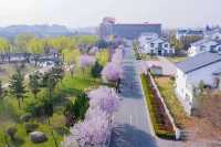 東海溫泉渡假村