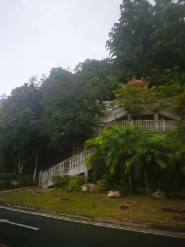 🌧️午後東湖散步記｜風雨中的意外片刻