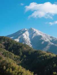邂逅新興天露山，解鎖春日限定玩法