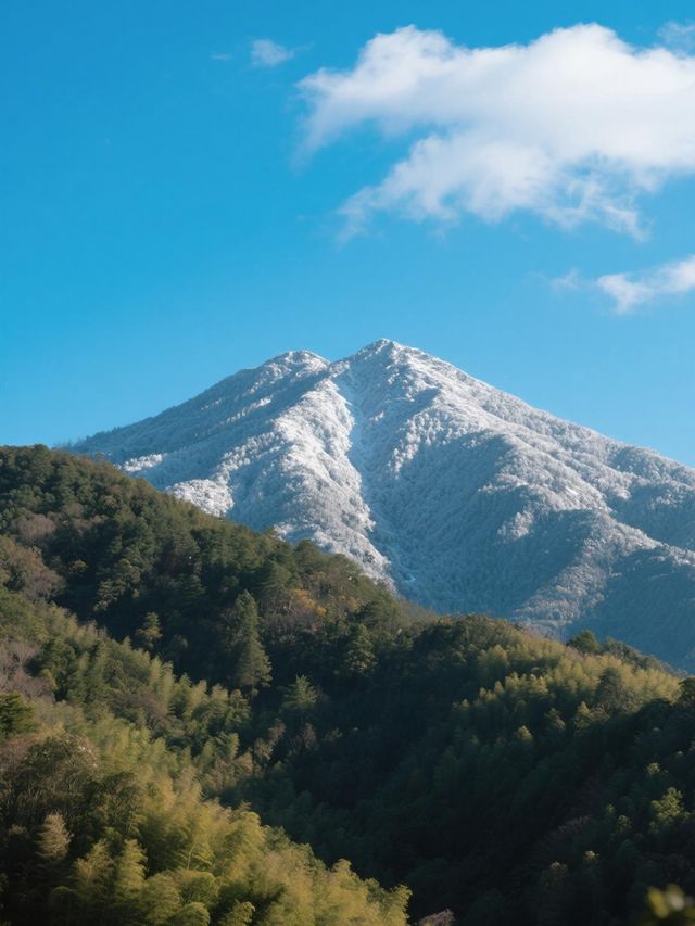 邂逅新興天露山，解鎖春日限定玩法