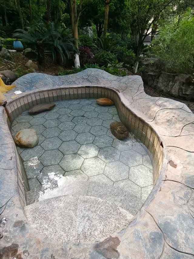 浸入天然溫泉，解鎖養生新姿勢｜天沐溫泉度假村