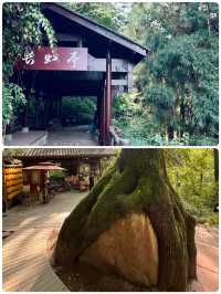 螢瀑森呼吸！天台山仙蹤暴走記
