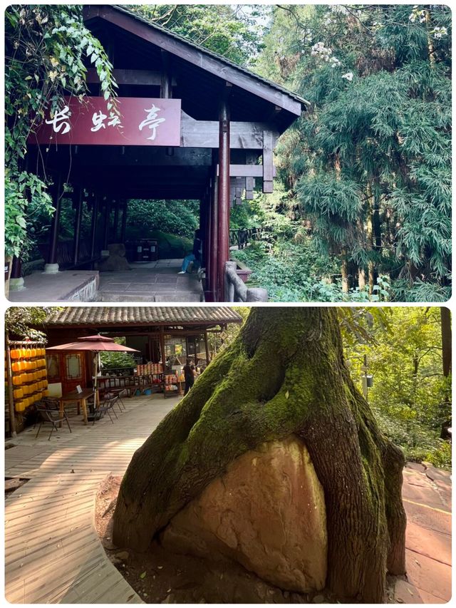 螢瀑森呼吸！天台山仙蹤暴走記