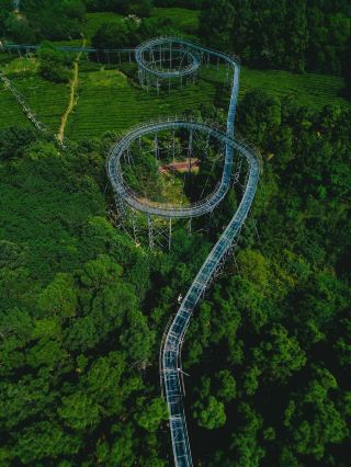 It's really in Nanjing! The flower swing is so beautiful it's divine