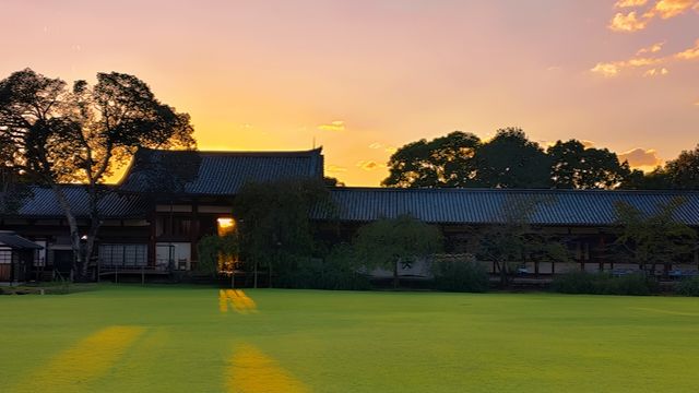 奈良東大寺，千年古剎的寂靜詩篇