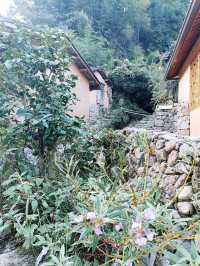 隱於雲和山間的秘境 石坑村讓你逃離喧囂