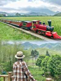安吉余村自駕遊｜喺山溝溝解鎖初夏悠閒感