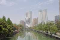 城市中的田野，都市中的綠肺
