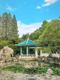 合肥古逍遙津｜穿越千年的古典徽派公園