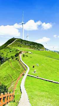烏蒙山大斷崖自駕，闖入地球邊緣