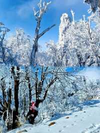 雲端上的「度假天堂」