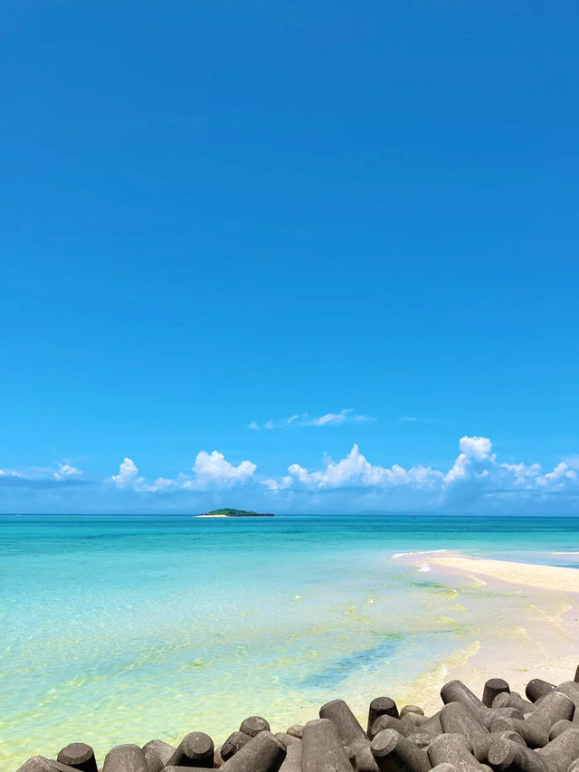 唔使飛馬代！沖繩夏日果凍海寶藏路線