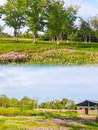 夏日消暑指南：黃昏去濕地公園追一場橘子味日落啦！