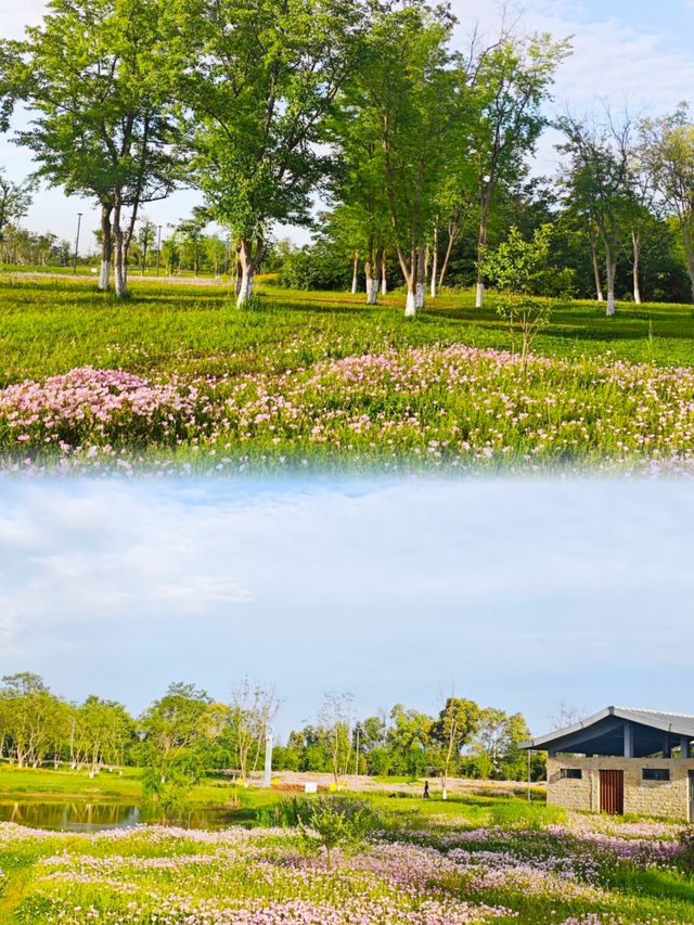 夏日消暑指南：黃昏去濕地公園追一場橘子味日落啦！