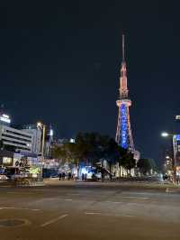 Top Tips For Nagoya, Like A Cheaper Tokyo! You Can Afford This Trip :D