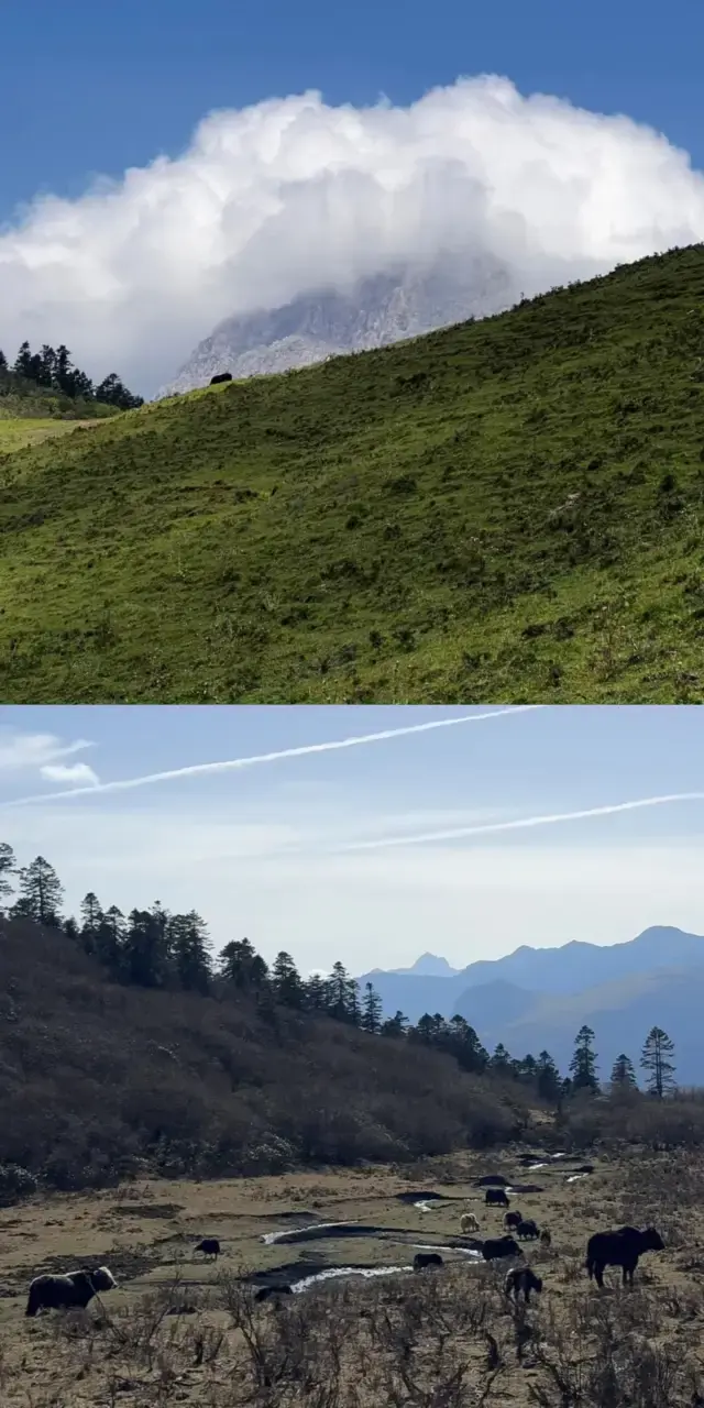 Chuyến tham quan Hồ Guma