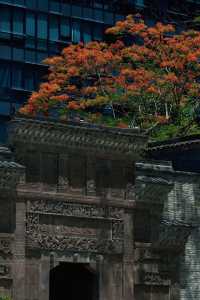 深圳獨家潮趣旅行指南，解鎖鵬城新玩法