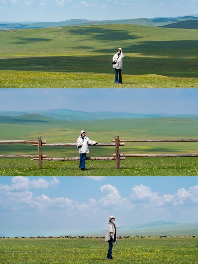 在北緯49°莫日格勒河，邂逅宮崎駿嘅夏天！